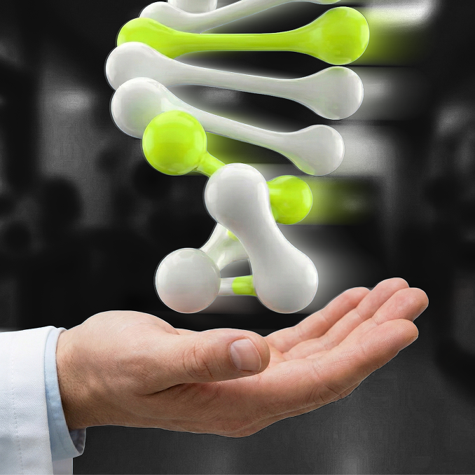 Hand holding a model of a DNA double helix with green and white segments against a blurred background