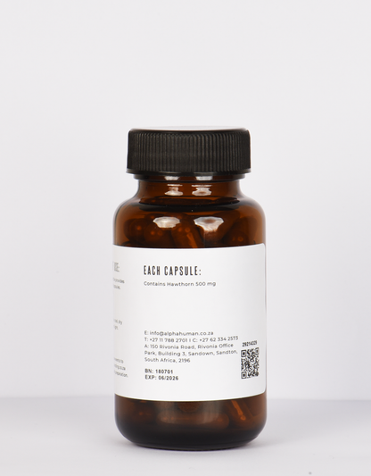 Hawthorn Berry 500 mg (60X Capsules) Ingredients