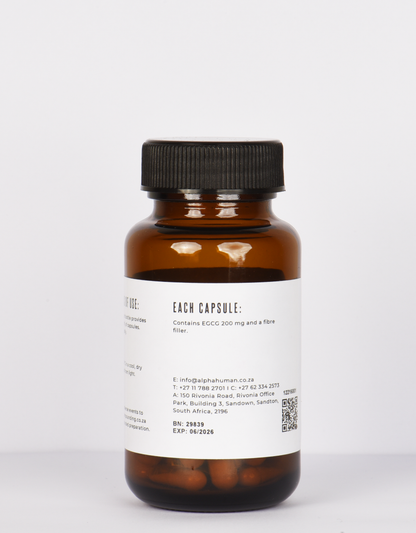 Green Tea (EGCG) 200 mg (60x Capsules) Ingredients